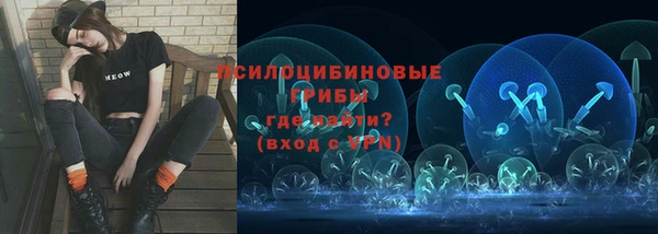 мдпв Чекалин