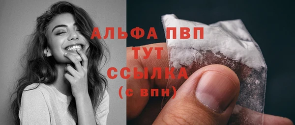 гидра Чегем