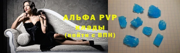 гидра Чегем