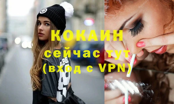 гидра Чегем